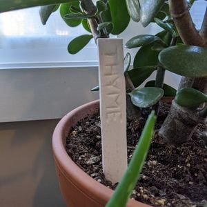Plant markers